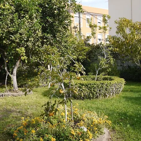 Cueva Sasha * סן מיגל דה אבונה