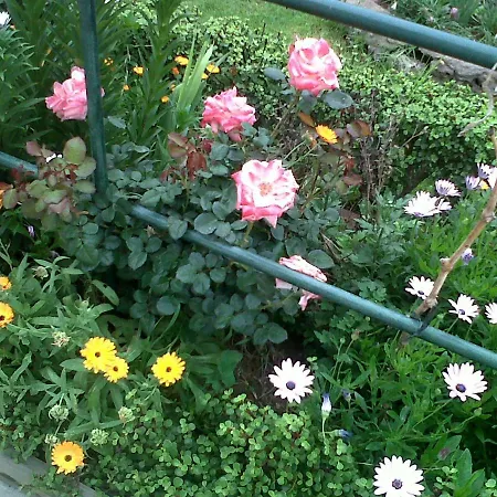 Cueva Sasha Hétvégi ház San Miguel de Abona