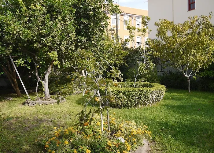 Cueva Sasha * San Miguel de Abona