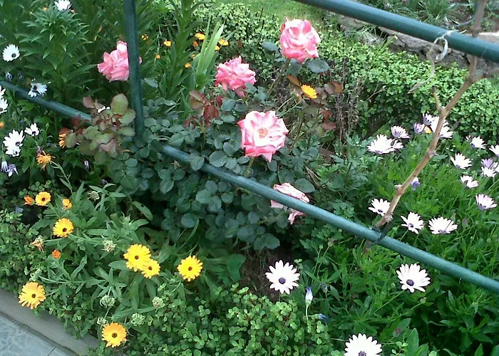 Cueva Sasha Landhaus San Miguel de Abona